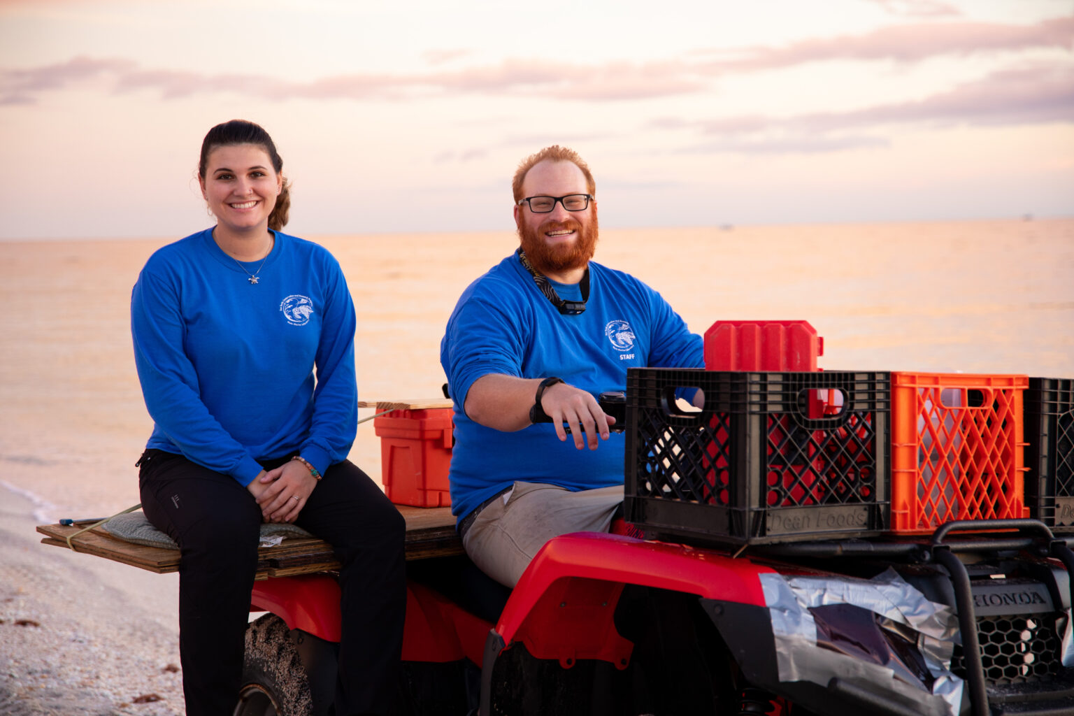 Sea Turtle Conservation & Research | Mote Marine Laboratory & Aquarium