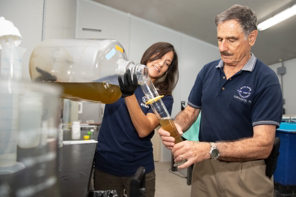 Dr. Jennifer Toyoda and Dr. Richard Pierce test possible substances to mitigate red tide caused by Karenia brevis algae.