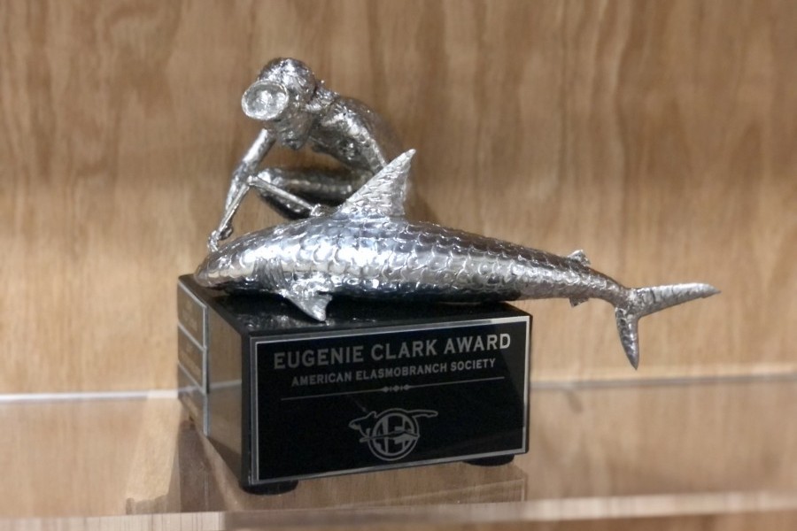 A snapshot of the Eugenie Clark Award