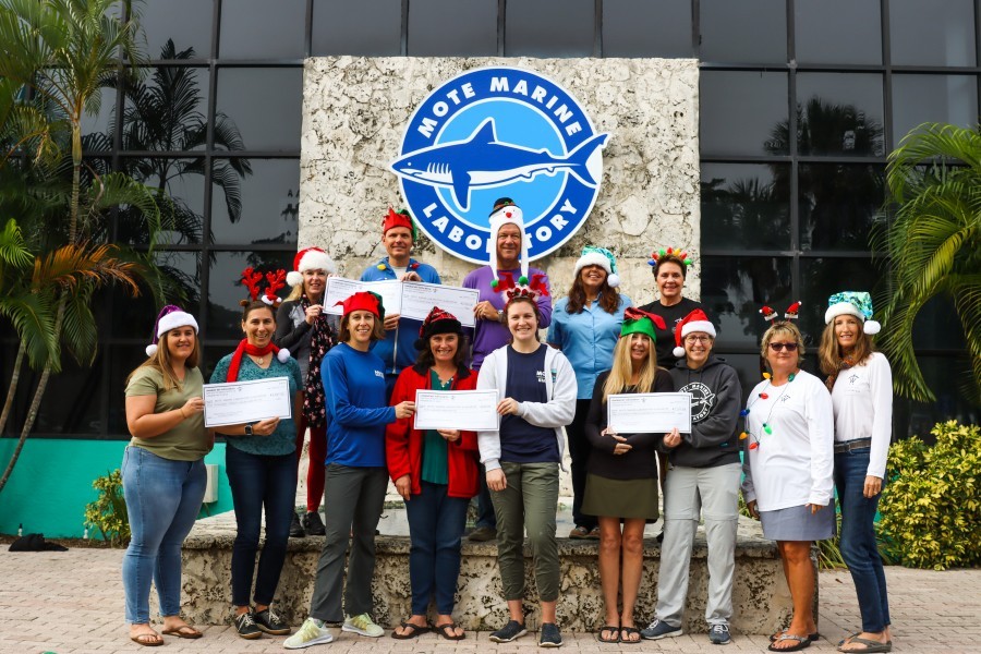 Members of Mote Marine Laboratory & Aquarium pose with members of Longboat Key Turtle Watch in festive wear