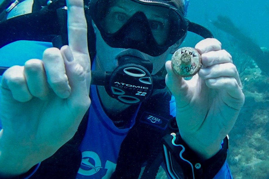 Mote plans to consistently out plant coral over the coming weeks and months in the Upper Keys