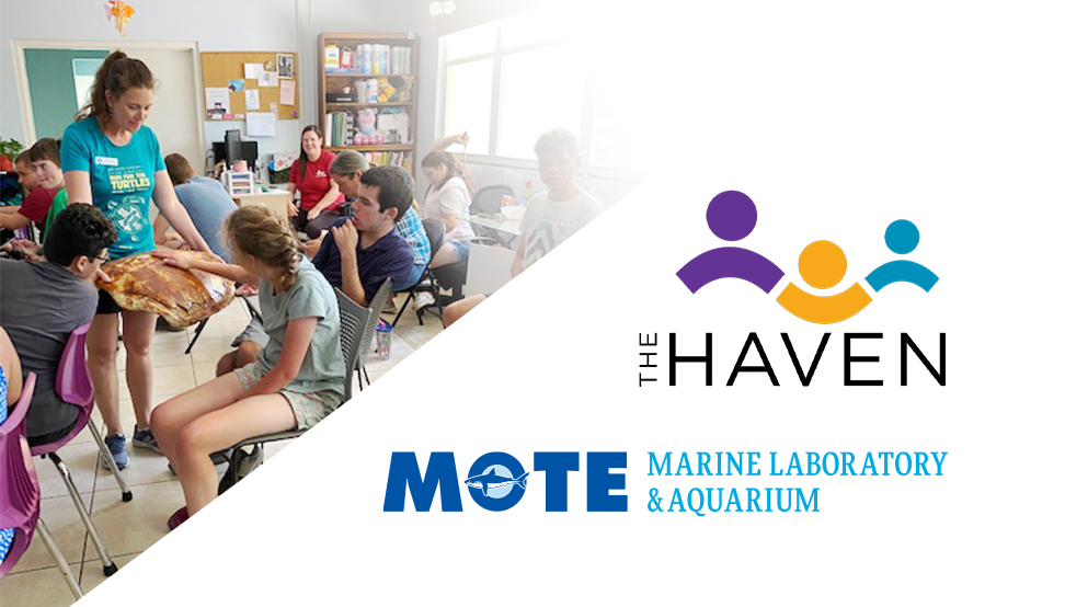 Alison Goldy at Mote Marine Laboratory & Aquarium shows off sea turtle shell during Ocean Access