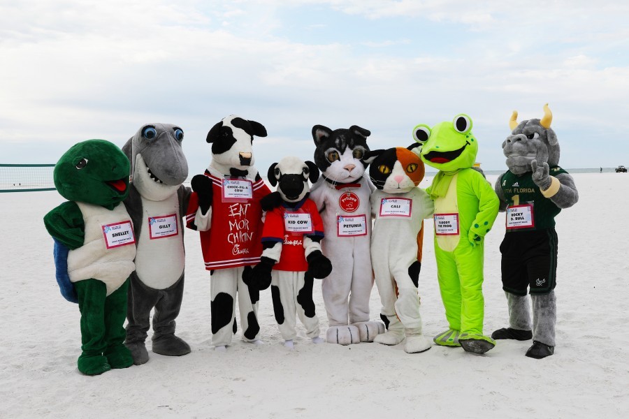 A group shot of local organization mascots on Siesta Beach after the Mascot Race promoting Mote's Run for the Turtles