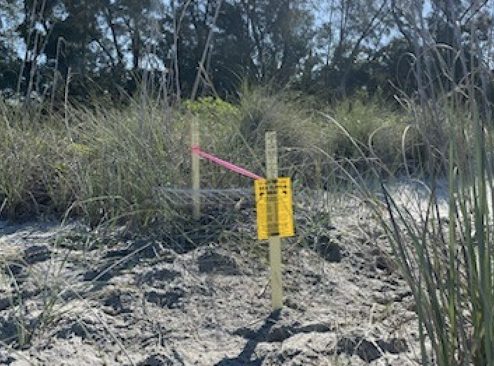 The first sea turtle nest of 2023 on Casey Key is marked by Mote with two stakes in the sand.