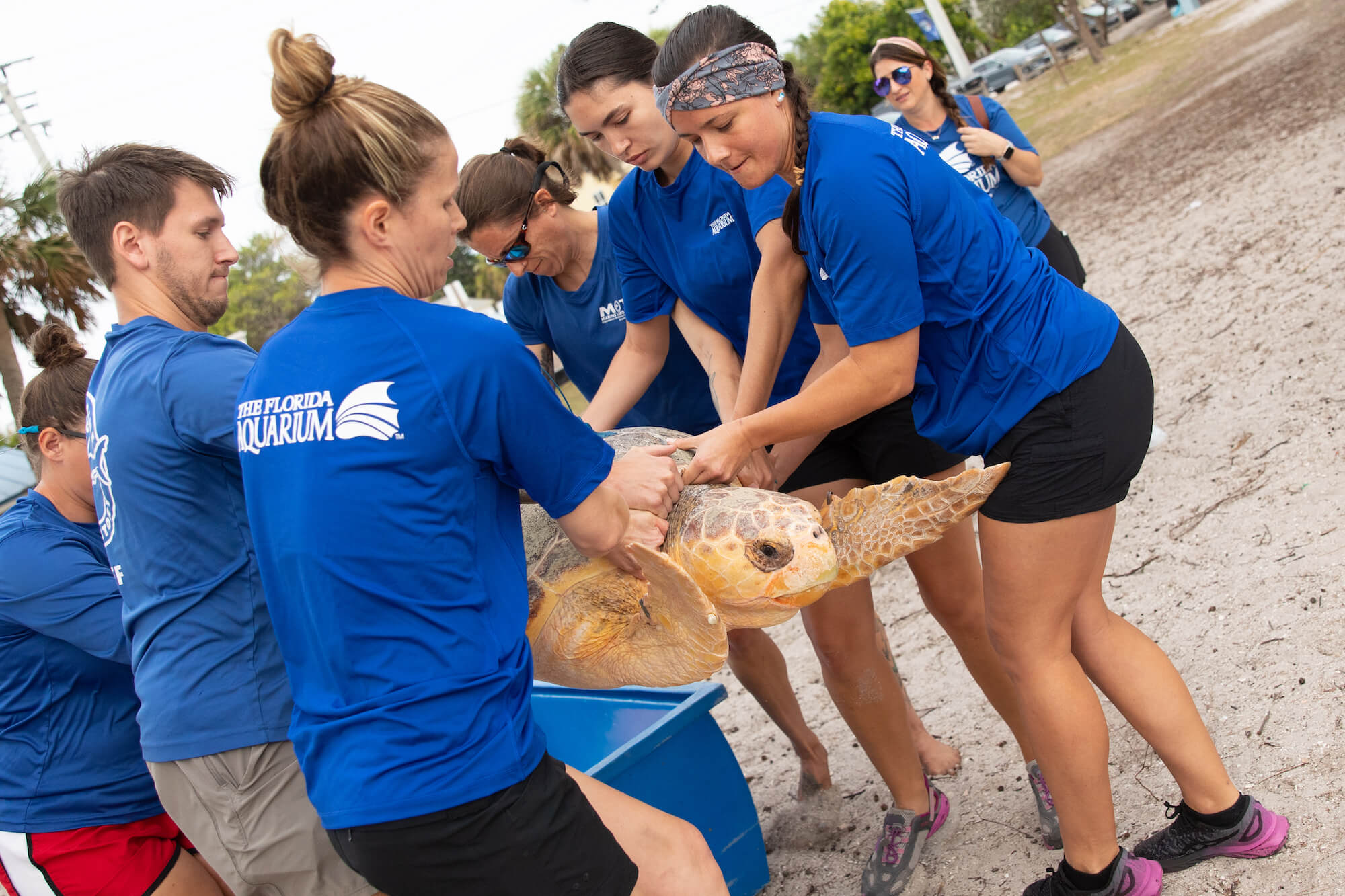 Marine Biology Internships Miami