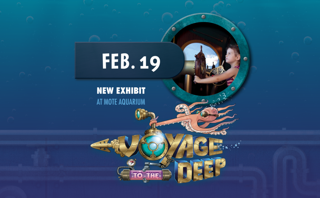 Graphic for Voyage to the Deep, an exhibit that concluded in 2023 at Mote Aquarium