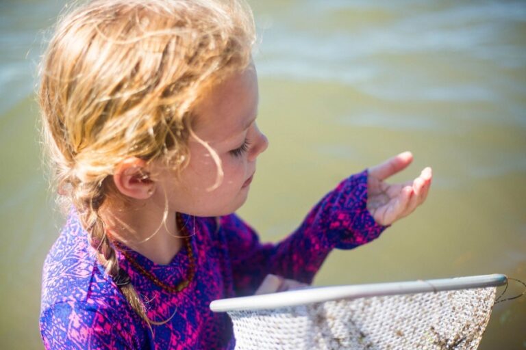 Attendees of the homeschool open house will have the opportunity to participate in a field exploration of Sarasota Bay.