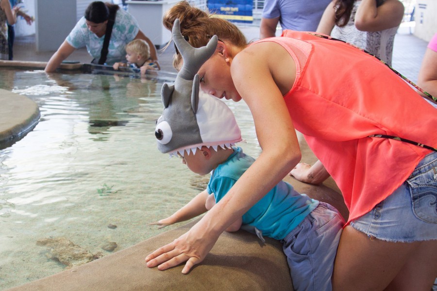 Liam Skelly and Ashlee Cole at Mote Aquarium. Credit: Alexis Balinski/Mote Marine Laboratory