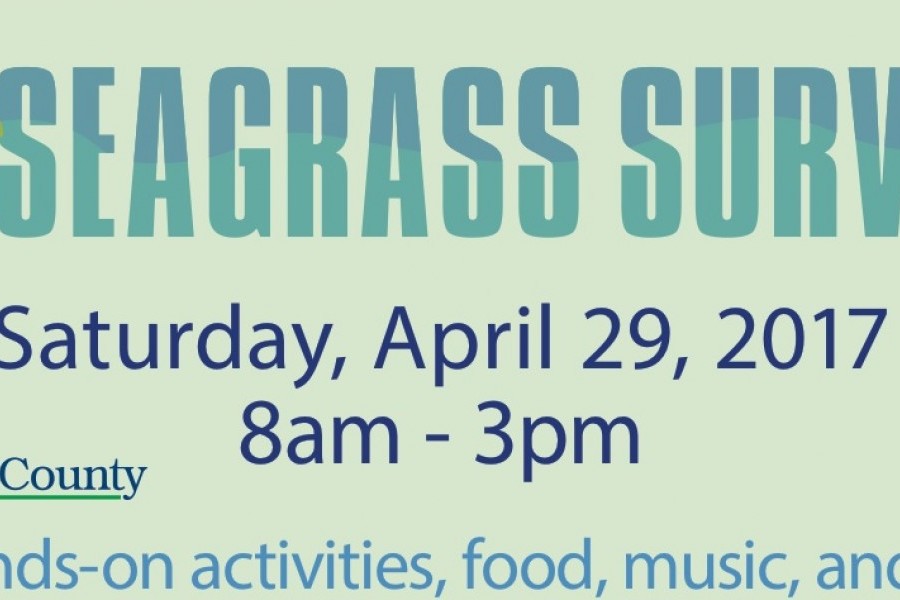 April 29: Annual Seagrass Survey To Connect The Public With Sarasota 