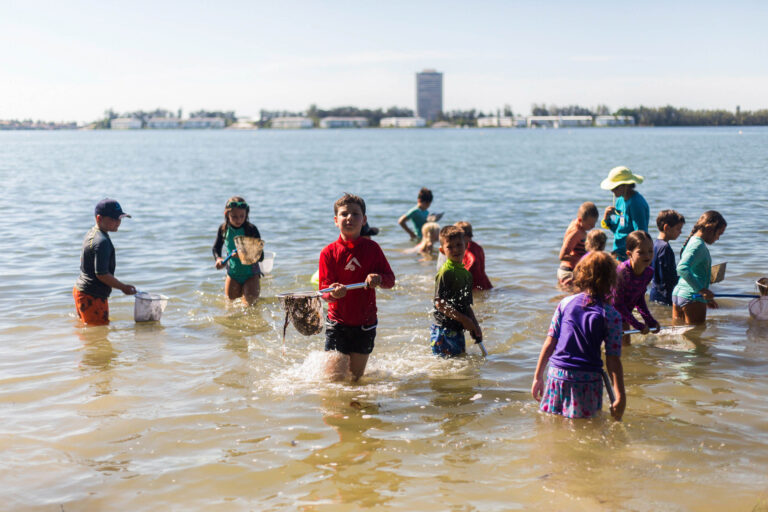 Children participating in Mote's education programs use dip nets to collect and release marine animals in Sarasota Bay, Florida
