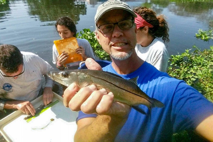 Dr. Nathan Brennan, Dr. James Locasico and Mote interns measuring snook in Sarasota canal.