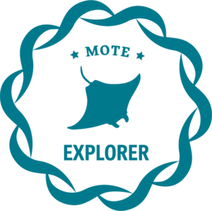 Explorer level donor icon