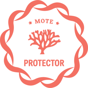 Protector level donor icon