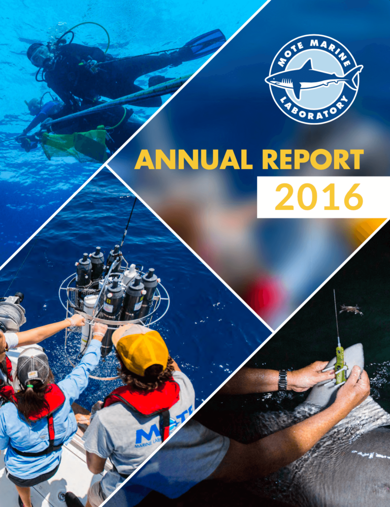 Cover of Mote Marine Laboratory's 2016 Annual Report publication.