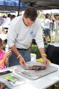 Mote Scientist Dr. Jim Locascio measures a lionfhish caught during the Lionfish Derby on a tray under a pop-up pavilion. A young girl in a polka-dot dress takes a picture with her smartphone.