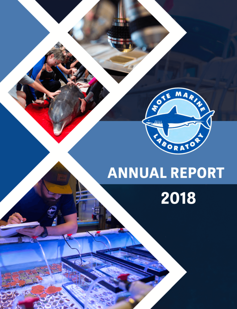 Cover of Mote Marine Laboratory's 2018 Annual Report publication.