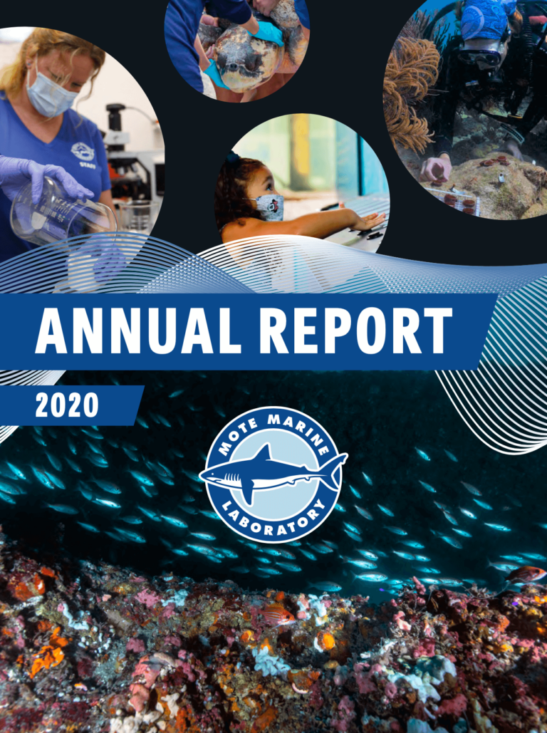 Cover of Mote Marine Laboratory's 2020 Annual Report publication.