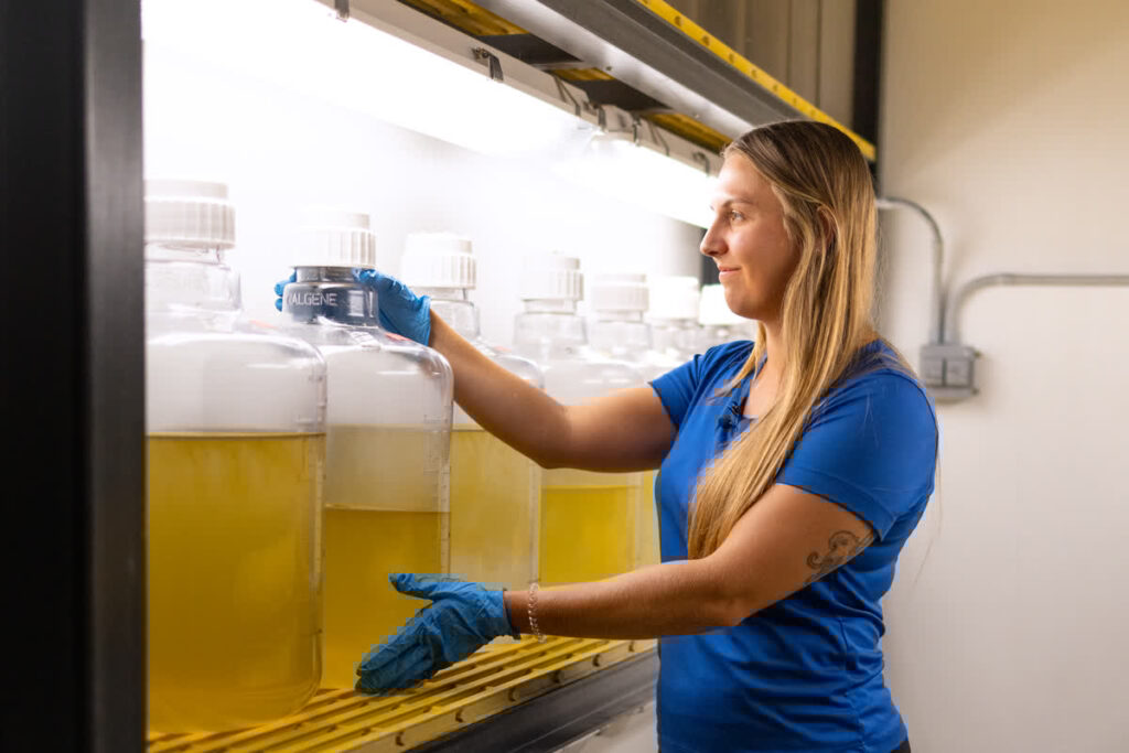 Lizbeth Longstreet holds a carboy (large glass container) of the red tide algae Karenia brevis, liquid with a yellowish tinge.