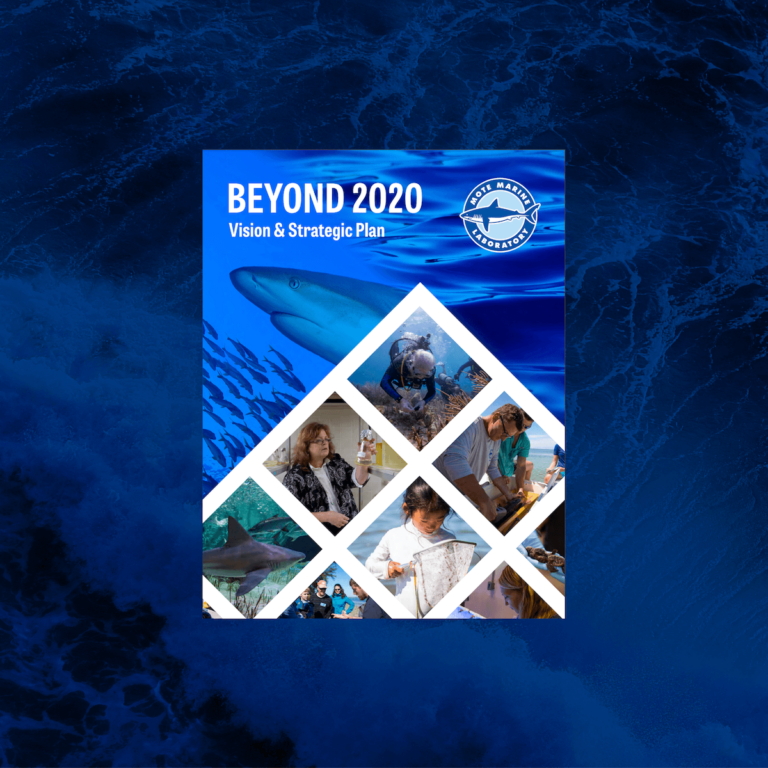 About | Mote Marine Laboratory & Aquarium