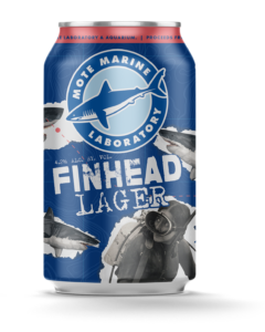 Close up of a can of Mote Marine's Finhead Lager. The can is a deep ocean blue with the circular Mote Marine Laboratory shark logo top and center. Underneath it is the name "Finhead Lager" in bold letters. The can is decorated with black-and-white images Great White Sharks and a diver in the bottom right, looking back over her shoulder at them.