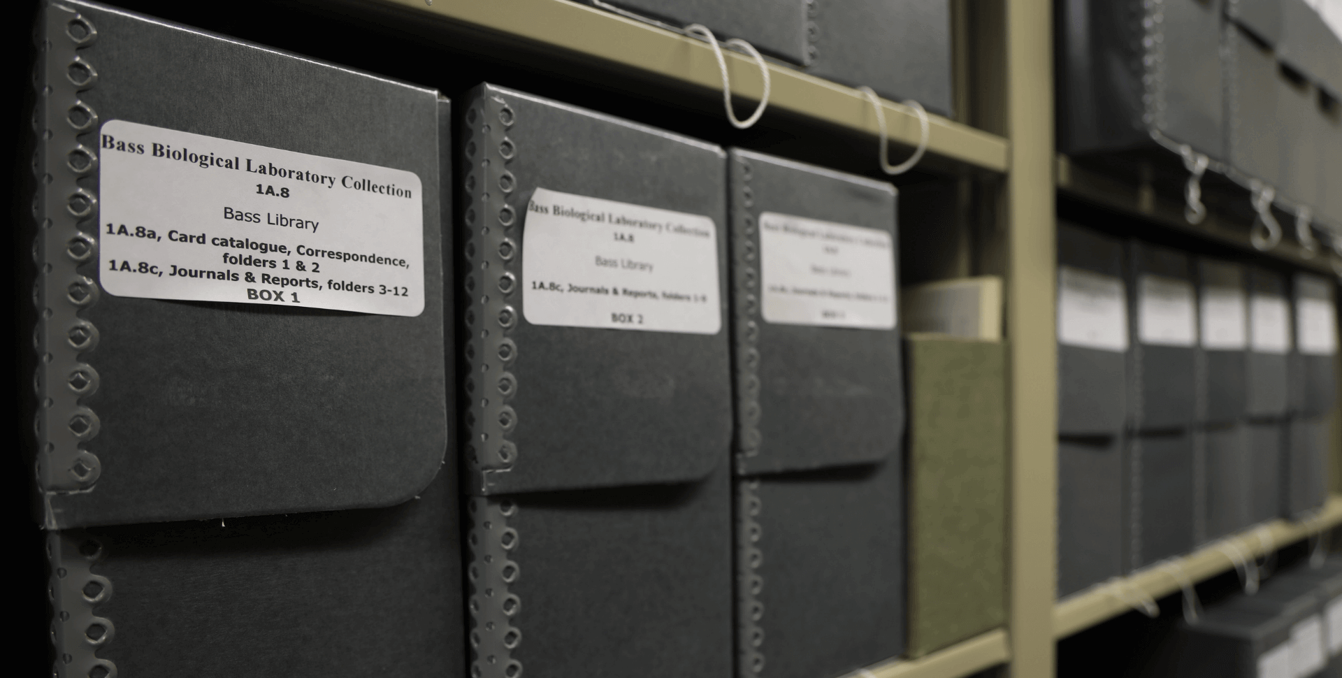 Library Archival Collections | Mote Marine Laboratory & Aquarium