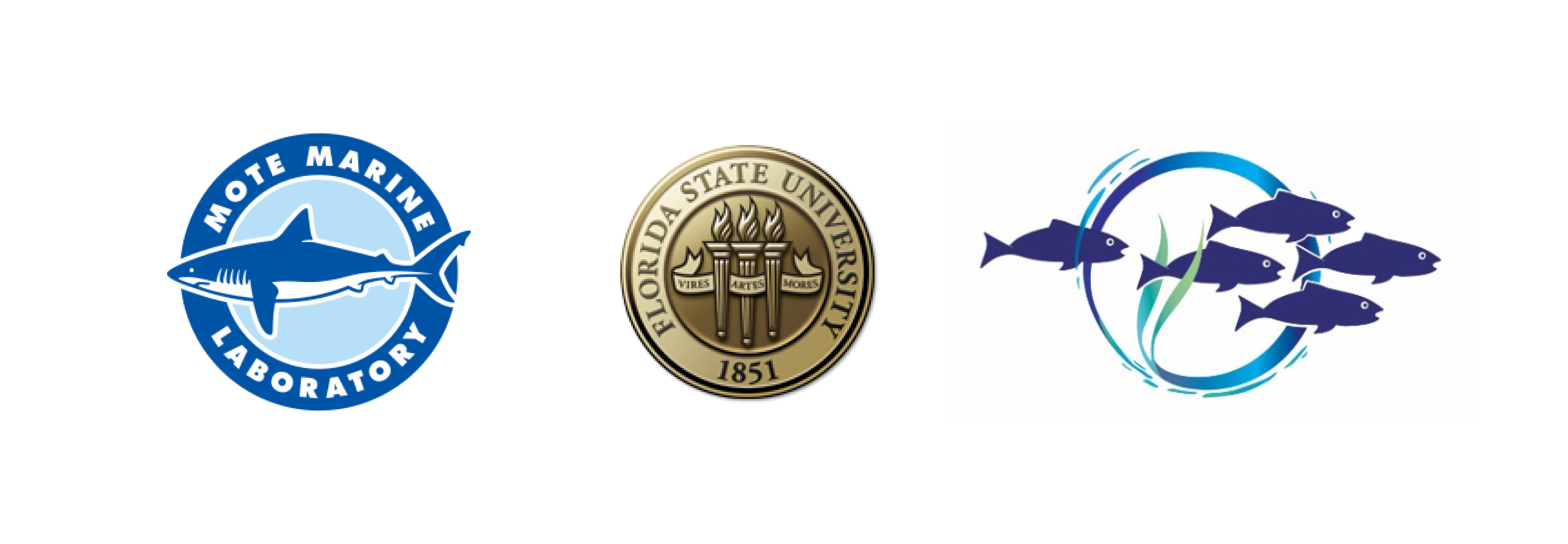 Logos for Mote Marine Laboratory, Florida State University andInternational Symposium on Stock Enhancement and Sea Ranching