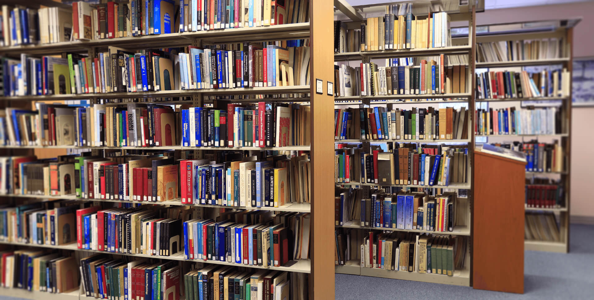 Shelves full of books in Mote's Arthur Vining Davis Library & Archives