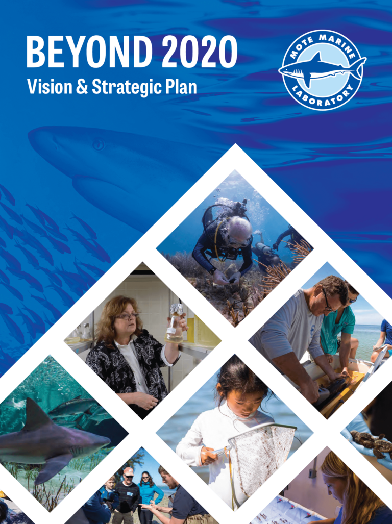 The cover of Mote's Beyond 2020 Strategic Plan document