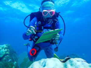 Dr. Erinn Muller dives to test coral disease treatments