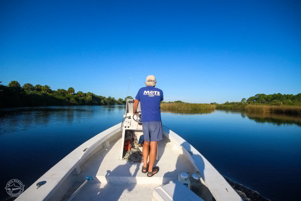 Mote Senior Scientist Jim Culter on a Myakka River water sampling trip