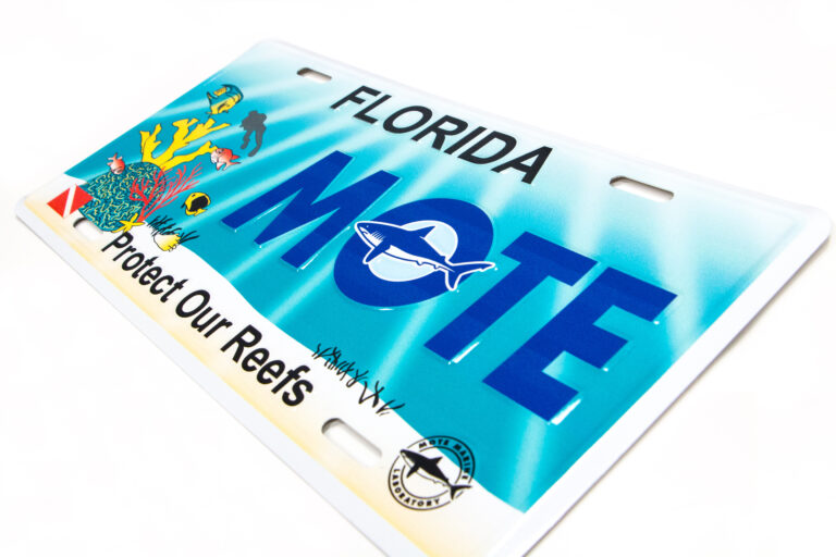 Protect Our Reefs license plate