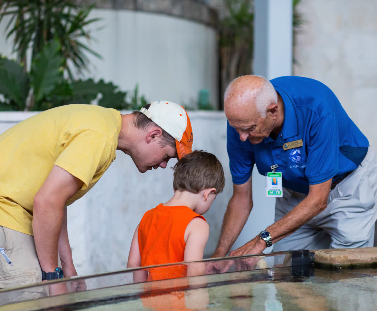 Sarasota & Anna Maria Volunteer Opportunities | Mote Marine Laboratory &  Aquarium