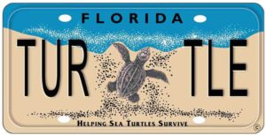 A Florida vanity license plate. The top is blue and wavy like the ocean. The rest is sand colored, like the beach. In the middle is a baby sea turtle, crawling up towards the ocean. To the left of the baby turtle is the letters 'TUR' and to the right 'TLE'. At the bottom in small letters is the text 'Helping Sea Turtles Survive".