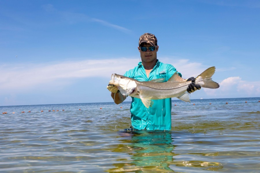 Mote volunteer Garrett Stephens holds a snook caught and released during the survey.