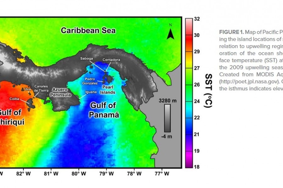 Screenshot of a lesson: Ocean surface temperature map showing coral reef areas studied in lesson.
