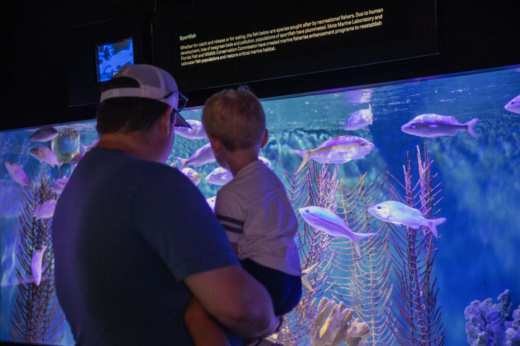 Guests watch sportfish in their habitat.
