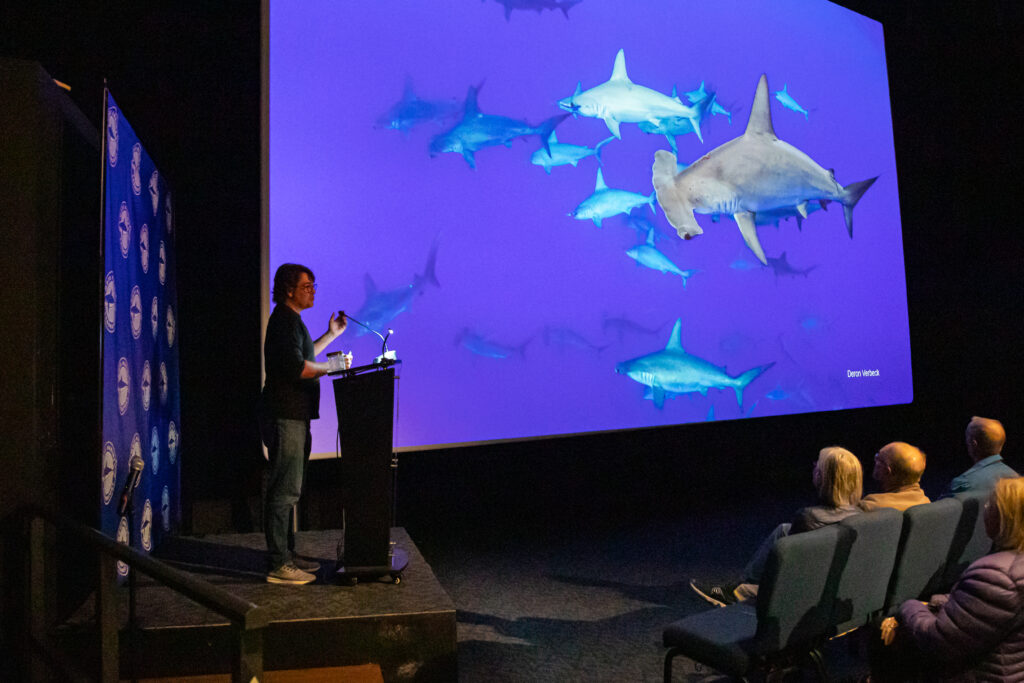 Dr. Demian Chapman presents Mote's shark research during a science lecture for the public.
