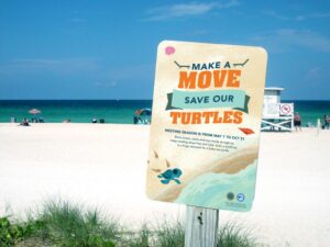 An artistic rendering of a beach with an eye catching sign warning of the danger objects including chairs, tents and toys left on the beach overnight pose for hatching sea turtles. The text 'Make a Move; Save our Turtles' takes up most of the page and is superimposed over a sandy beach. Underneath, a cartoon baby turtle crawls across the beach towards the surf. 