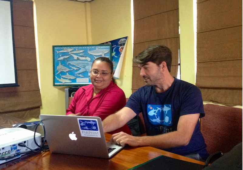 Dr. Demian Chapman meets with colleagues in Belize.