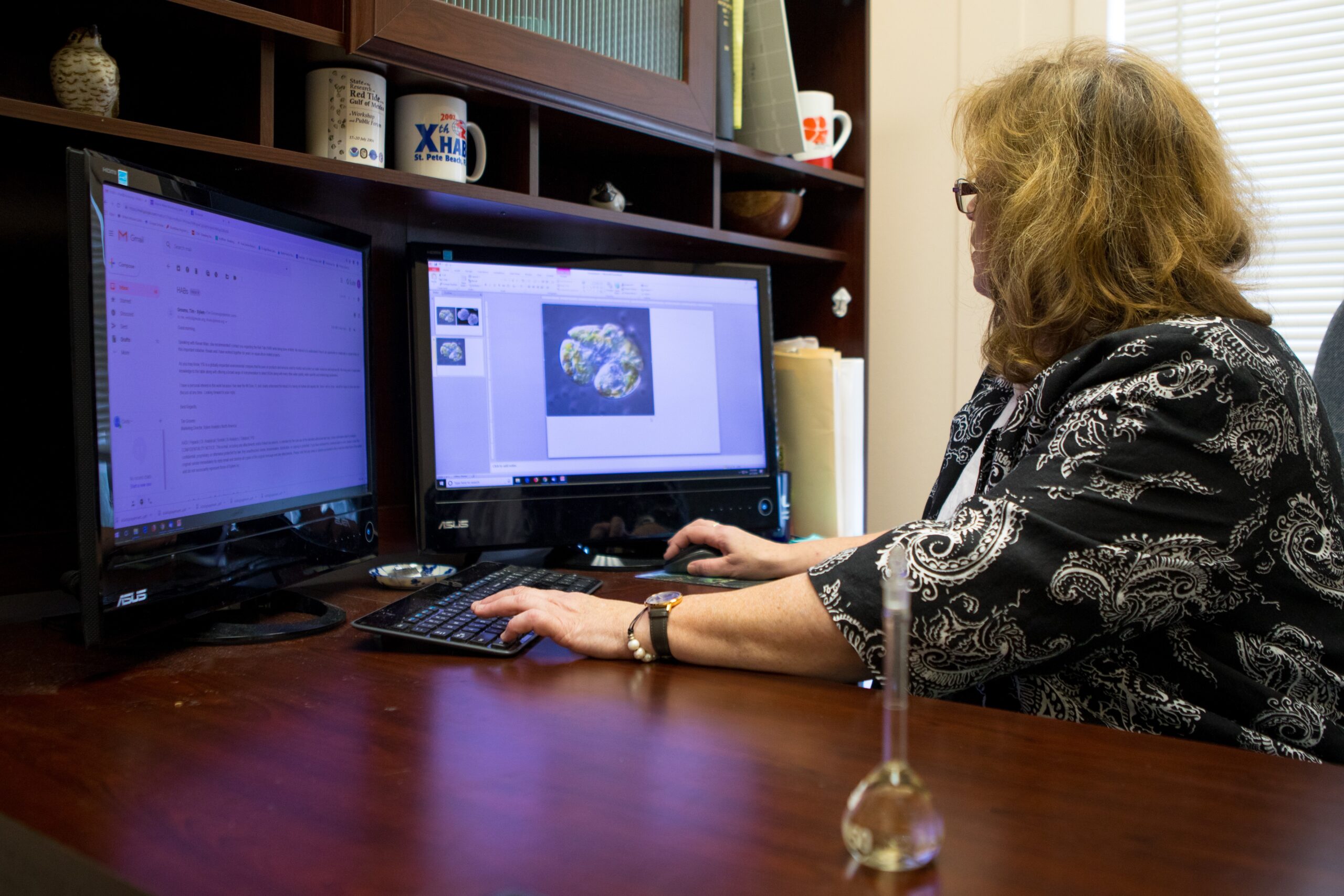 Dr. Cynthia Heil shows a microscope image of the red tide alga Karenia brevis on her computer.