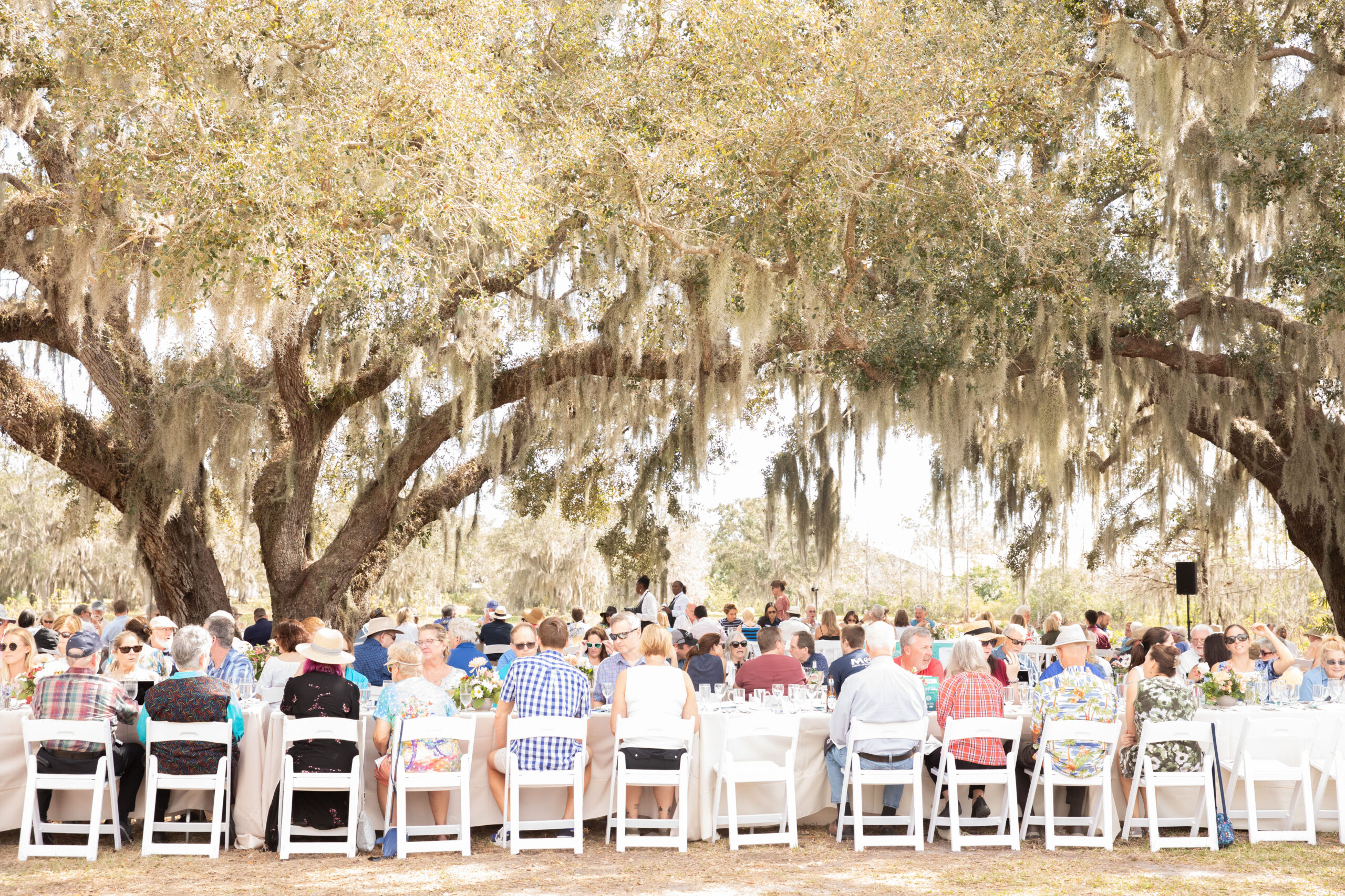 Guests gather under beautiful oak trees for a sustainably sourced meal at Mote's Farm to Fillet event.