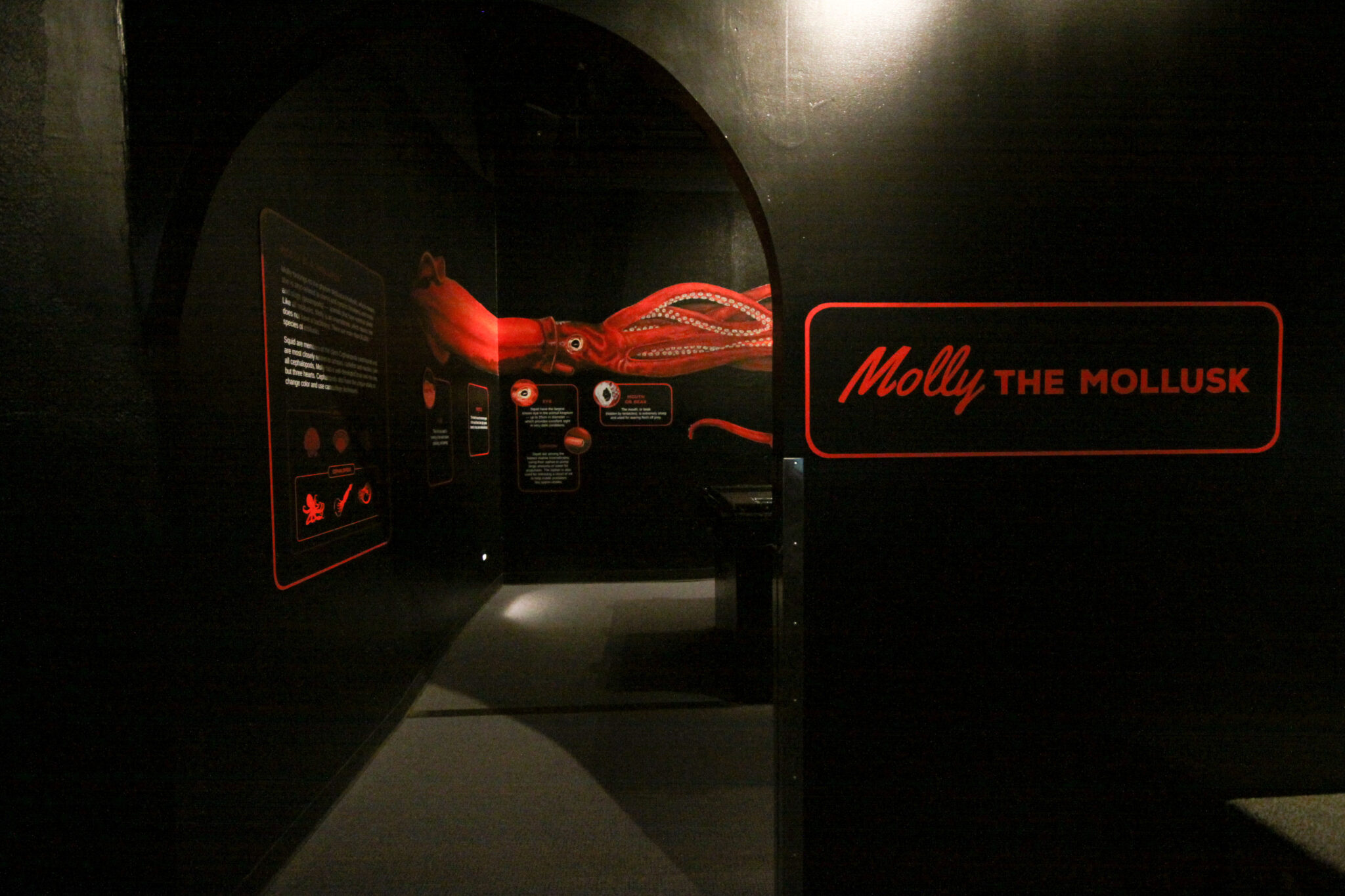 Exhibits & Experiences at the Aquarium, archivestyle grid Mote