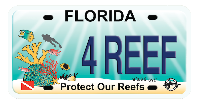 2024 Protect Our Reefs grants to fund cutting-edge coral reef ecosystem research and restoration | Mote Marine Laboratory & Aquarium