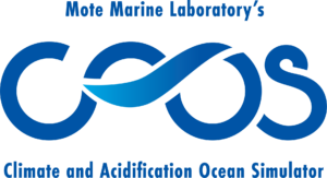The CAOS System logo.