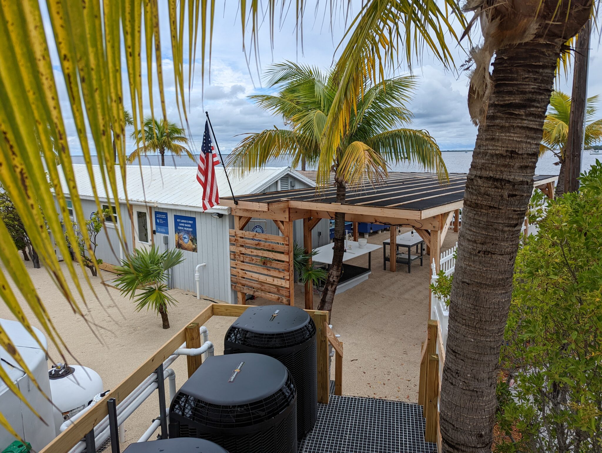 Watch the Key Largo 4th of July Fireworks with Mote Marine Laboratory