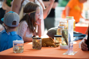 Children dressed up in costume for a Halloween event in the aquarium engage with a spooky education exhibit. 