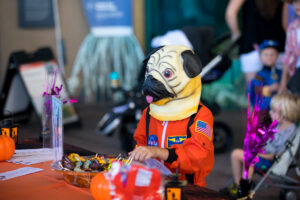 Child dressed up as an astronaut pug engages with a trick or treat station at Halloween event at Mote Marine Lab and Aquarium. 