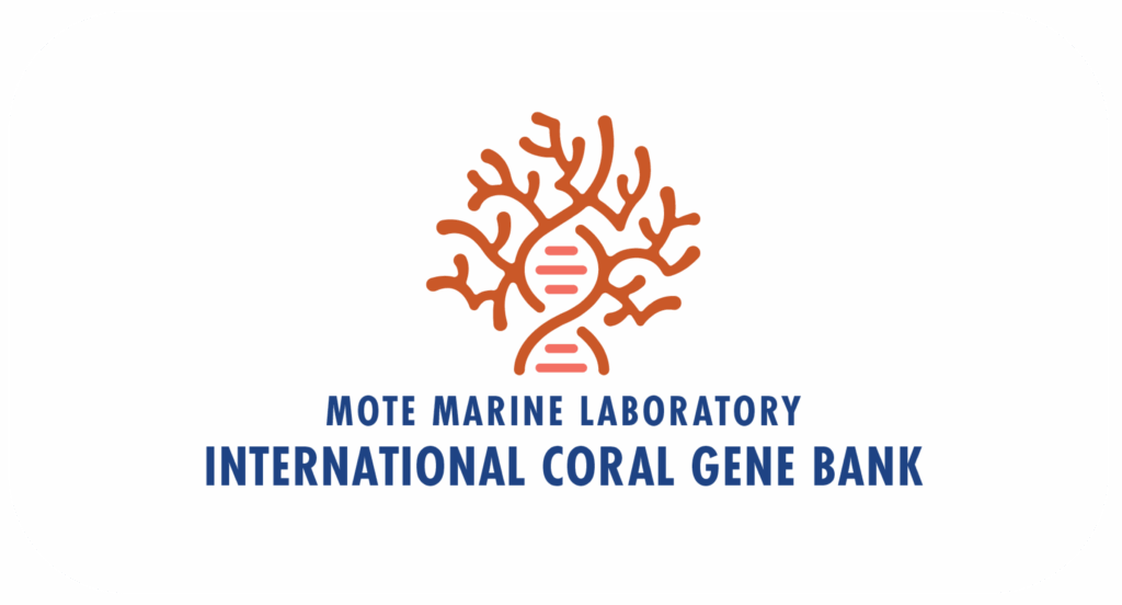 Mote's International Coral Gene Bank logo on a white background. Showing DNA transforming into coral
