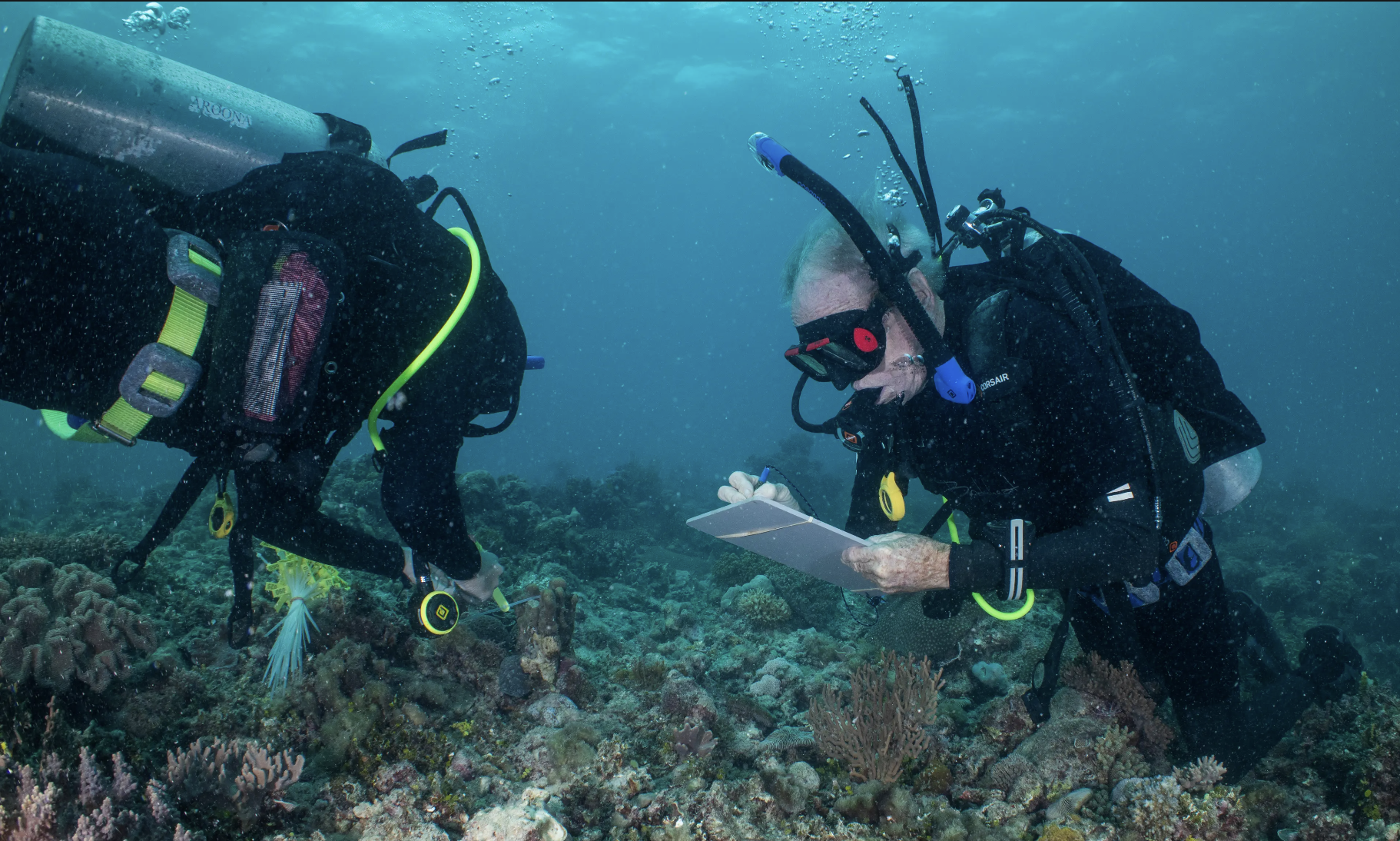 Scientists collect coral for the Forever Reef Project. Photo courtesy of Great Barrier Reef Legacy