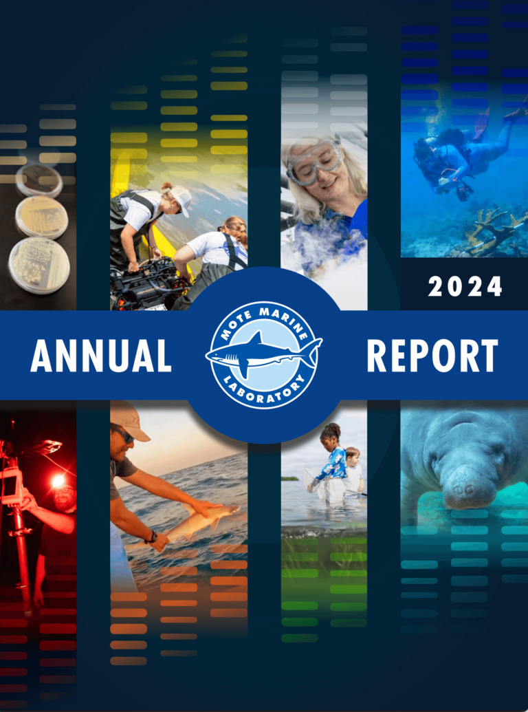 Cover of Mote's 2024 Annual Report publication